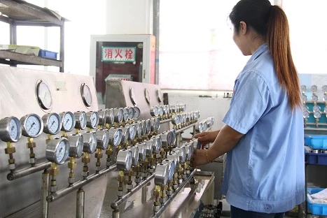10. Static Pressure Testing-1.JPG